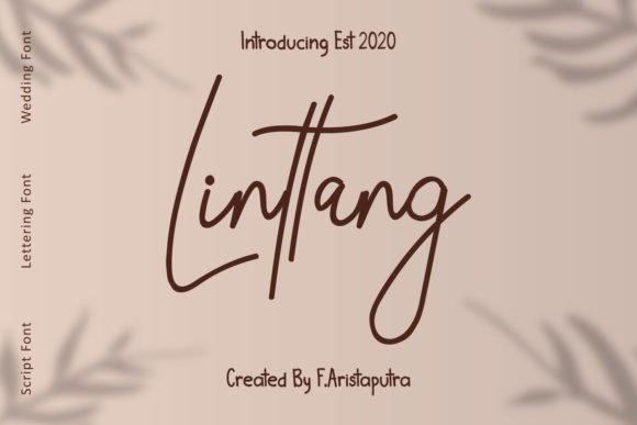 Linttang: A Script Font with Personality